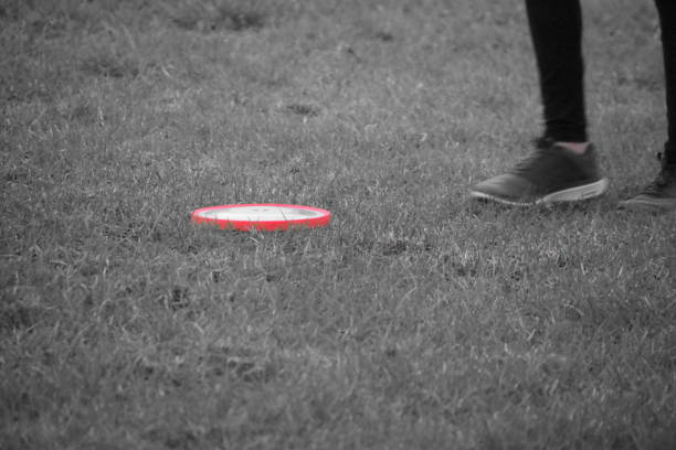 istock A pink frisbee plate 855943924