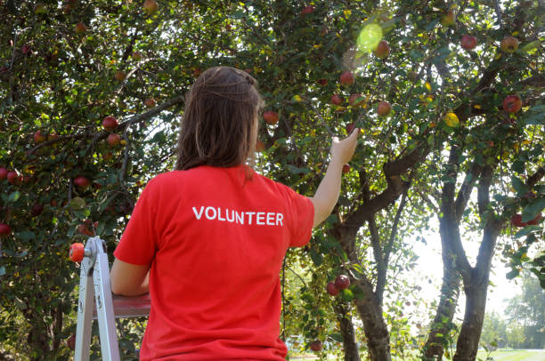istock Young Female Volunteer 855949926