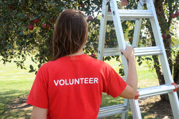 Young Female Volunteer