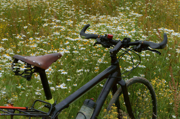 istock field, chamomile, bike, relax, skate, lug, wheel 855954978