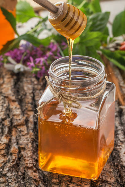 istock Honey bowl with dipper and flowing honey 855955858