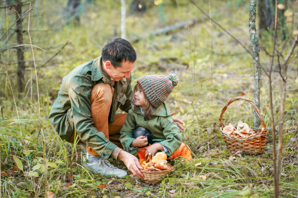 istock Gathering of mushrooms. 855955872