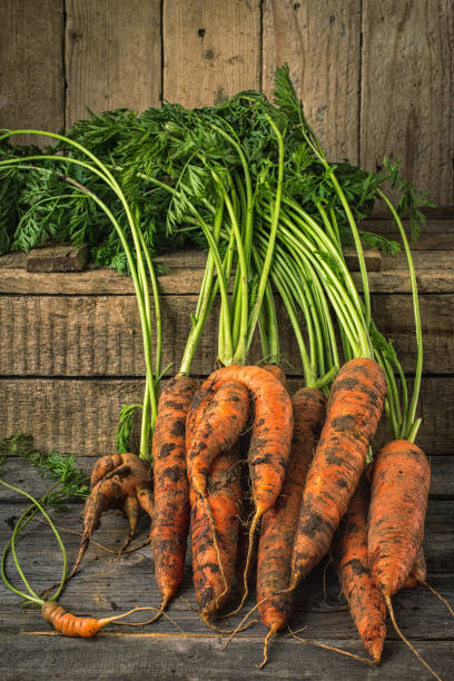 istock Fresh Organic Carrots  on wooden background 855955906