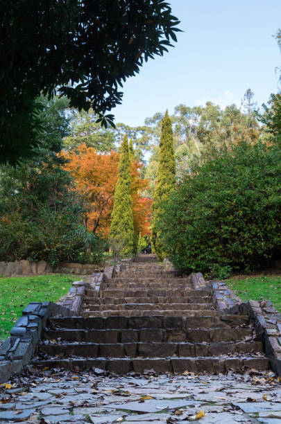 istock Steps leading up in the Yarra Valley in Victoria, Australia 855959942