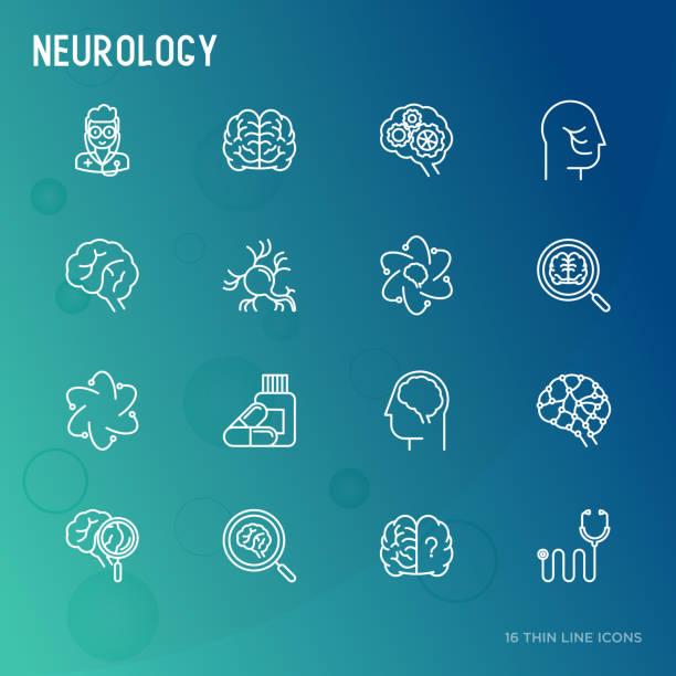ภาพประกอบสต็อกที่เกี่ยวกับ “แนวคิดระบบประสาทไอคอนเส้นบาง: สมอง, เซลล์ประสาท, การเชื่อมต่อประสาท, นักประสาทวิทยา, แว่นขยา - เส้นประสาทไทรเจมินัล ภาพถ่าย”