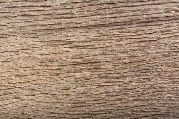 istock Scratched wood bog oak texture. Dramatic light and shadows 855974210