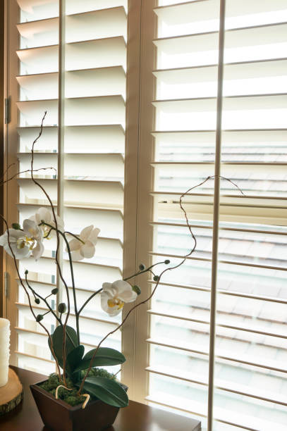 istock White plantation style wood Shutters 855977146