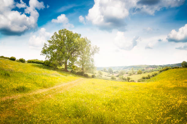 istock Beautiful Landscape View In Gloucestershire, England 855980064