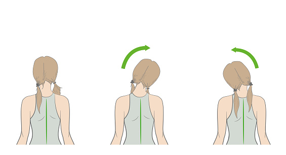 Head Exercise Animation Exercises For The Neck And Head Vector Illustration Stock Illustration ...