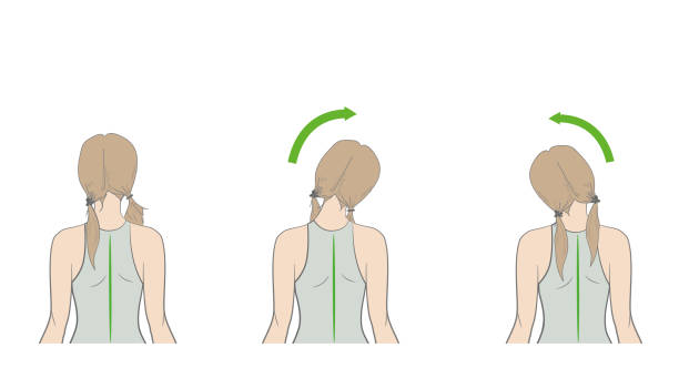 Neck Exercise Drawing 2,700+ Neck Exercise Stock Illustrations, Royalty-Free Vector Graphics ...