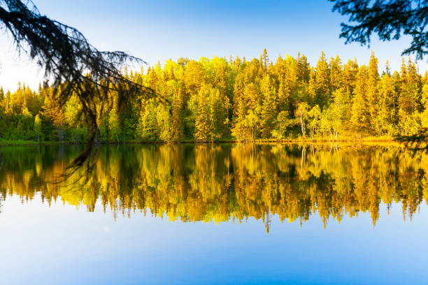 istock Solovki.  landscape lake sunset 855984536