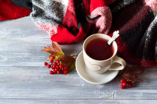 istock cup of hot tea with viburnum berries 855993178