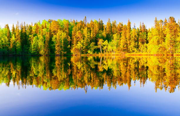 istock Solovki.  landscape lake sunset 855994366