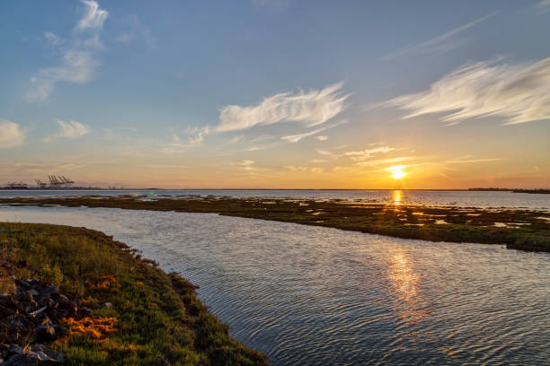 istock seashore at sunset time, Tsawwassen, Delta, British Columbia, Canada 855994462