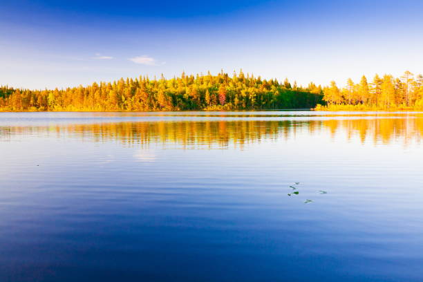 istock Solovki.  landscape lake sunset 855994508