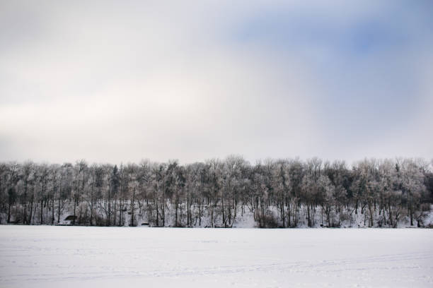 istock Winter pine forest in sunny cold day ,Ukraine 855997076