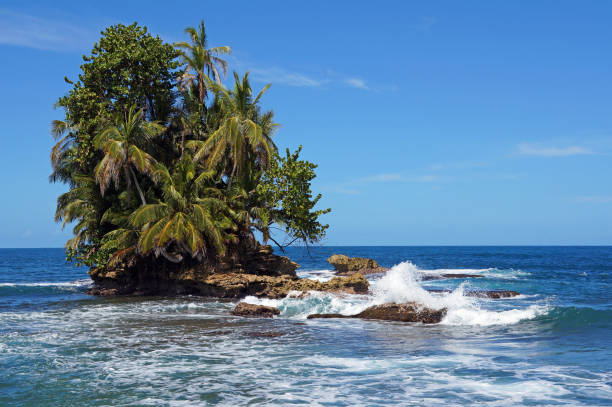 istock Beautiful tropical islet with lush vegetation 856014850