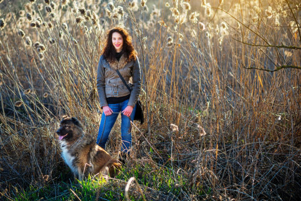 istock Girl playing with Caucasian shepherd dog, autumn 856020580