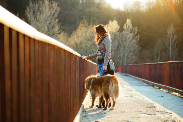 istock Girl playing with Caucasian shepherd dog, autumn 856020628