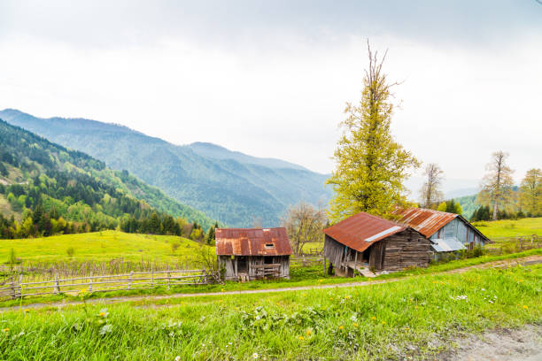 Small old wooden hut cabin in mountains on green pasture against blue sky