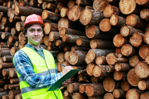 istock man in helmet worker wood lumber 856027976