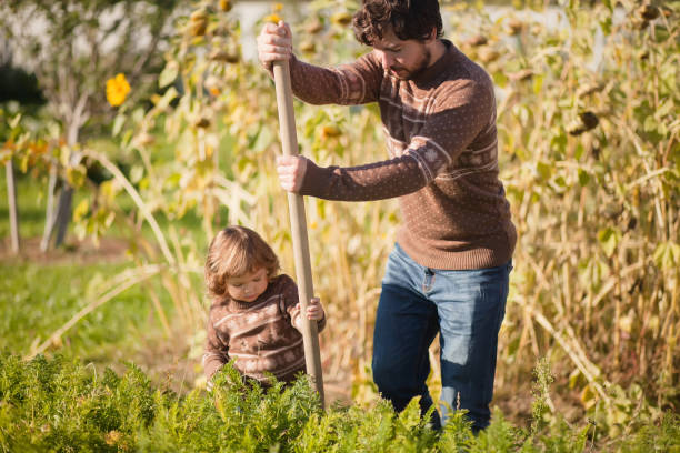 istock Father and child working in the garden. 856038112