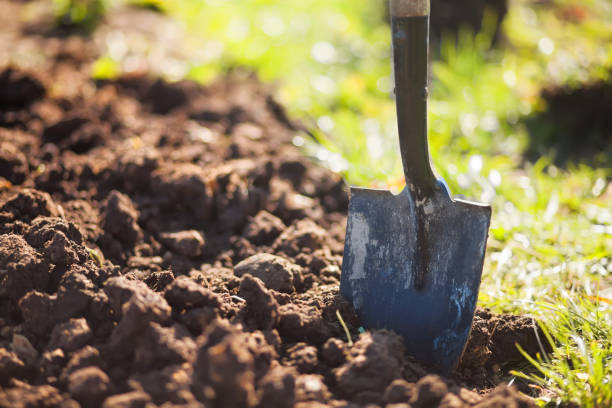 istock Working in the garden concept. 856038852