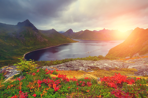 Autumn nature. Colorful foliage on mountain hills. Rising sun illuminates fjord. Autumn norwegian landscape.