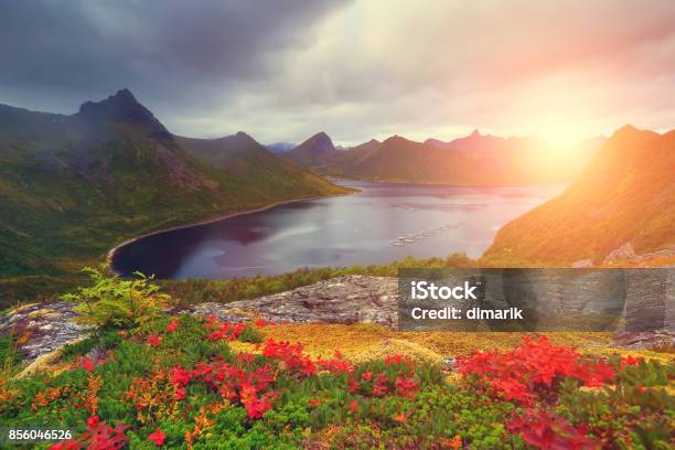 Autumn Nature Stock Photo - Download Image Now - Summer, Norway, Sweden