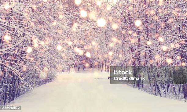 Christmas Snowfall In Park Stock Photo - Download Image Now - Winter, Vacations, Christmas