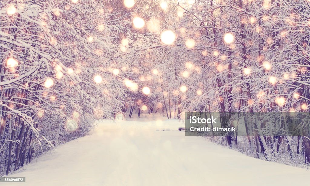 Neve de Natal no parque - Foto de stock de Inverno royalty-free