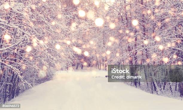 Foto de Neve De Natal No Parque e mais fotos de stock de Inverno - Inverno, Férias, Natal