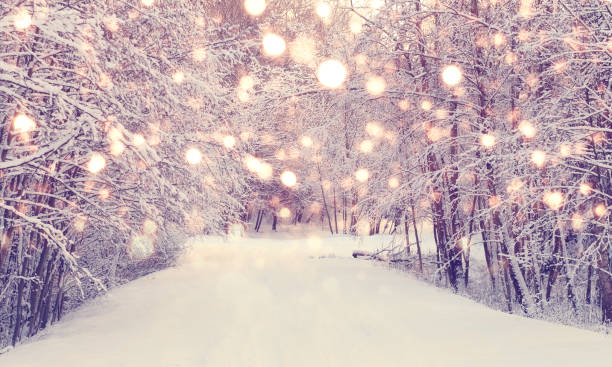 рождественский снегопад в парке - декабрь стоковые фото и изображения