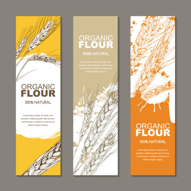 Set of vector backgrounds for label, package. Sketch hand drawn illustration of wheat ears. Agriculture, grain, cereal. Set of vector backgrounds for label, package. Sketch hand drawn illustration of wheat ears. Concept for organic flour, harvest and agriculture, grain, cereal products, bakery, healthy food. flour label designs stock illustrations