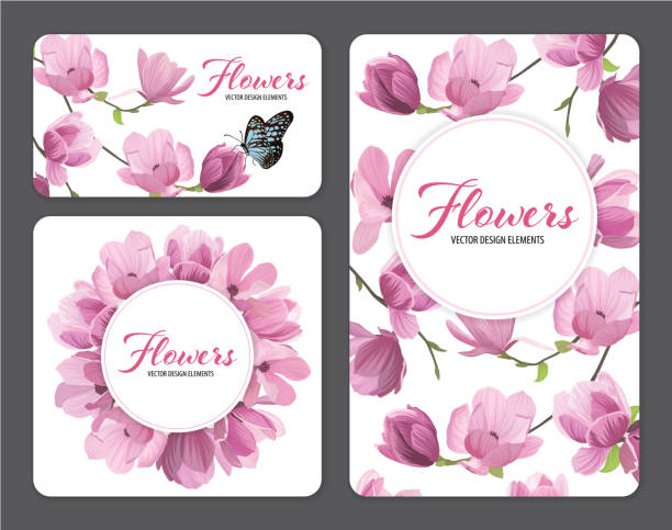 ilustrações, clipart, desenhos animados e ícones de flores de magnólia com uma borboleta em fundo branco. - sweet magnolia florida flower magnolia