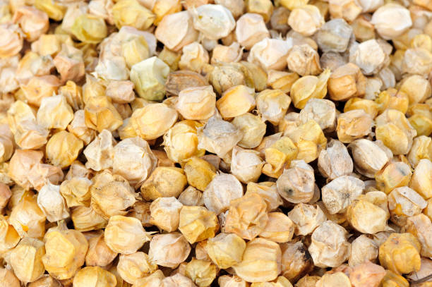 istock golden berry fruits 856116144