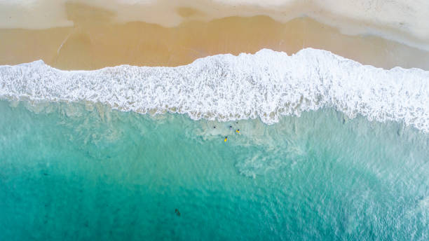 istock Colors of the Ocean in Laguna Beach, CA 856119392