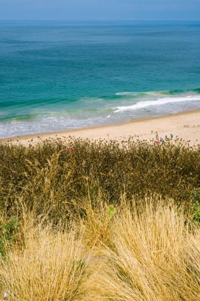 istock Beautiful Crystal Cove, Orange County, California 856119642