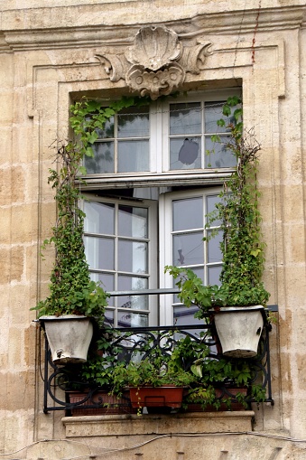detail of window on Bordeaux palace