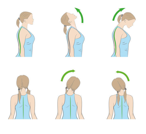 ćwiczenia na szyję i głowę. ilustracja wektorowa - head and shoulders stock illustrations