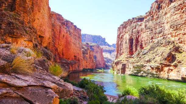 marble canyon nel grand canyon, arizona, stati uniti - marble canyon foto e immagini stock