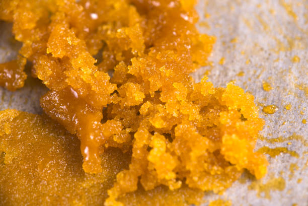 Cannabis concentrate live resin macro detail extracted from medical marijuana stock photo