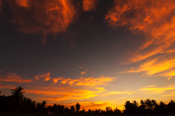 Silhouette coconut tree of sky sunset background, Landscape of Thailand