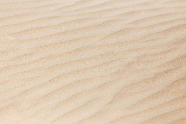 istock beautiful background of sand in the desert 856148896