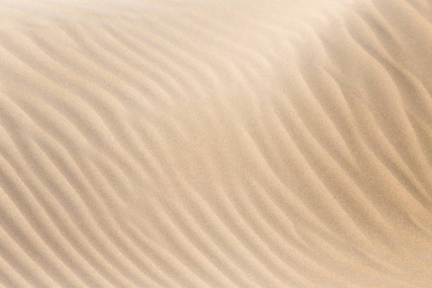 istock beautiful background of sand in the desert 856149248