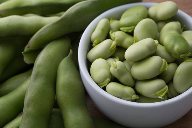 Close up fresh raw broad beans stock photo