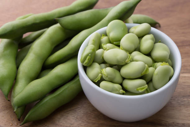 Close up fresh raw broad beans stock photo