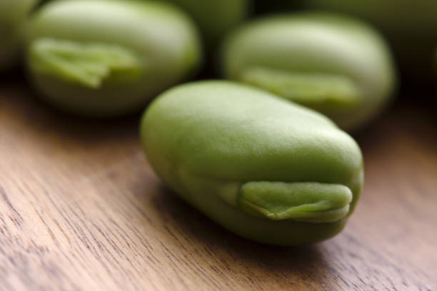 Close up fresh raw broad beans stock photo