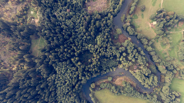 istock Aerial view of river bend through forest. 856159782