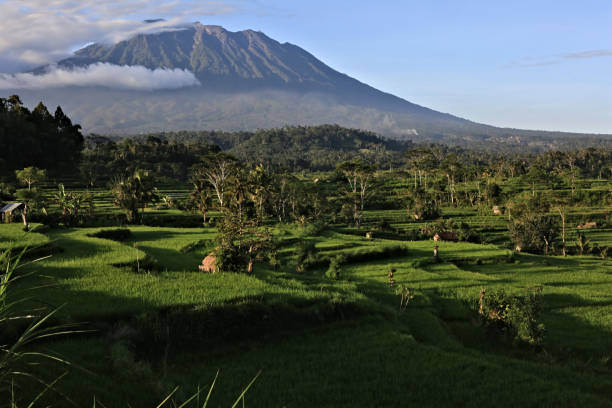 istock Bali's Mount Agung and Rice Terraces from the Southern Slopes 856164166